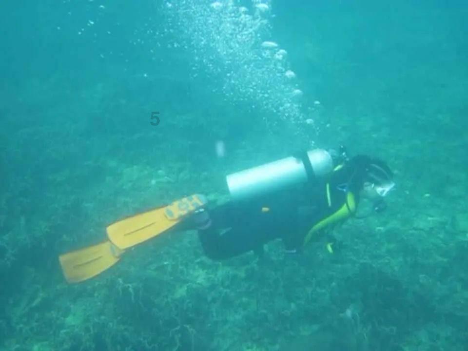 办公室恋情利弊？游戏画面
