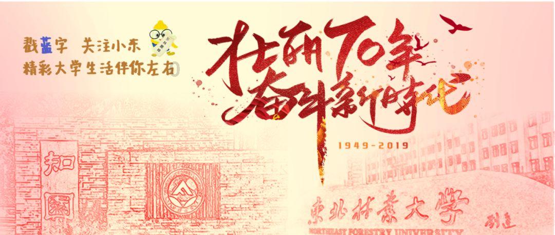 御龙在天